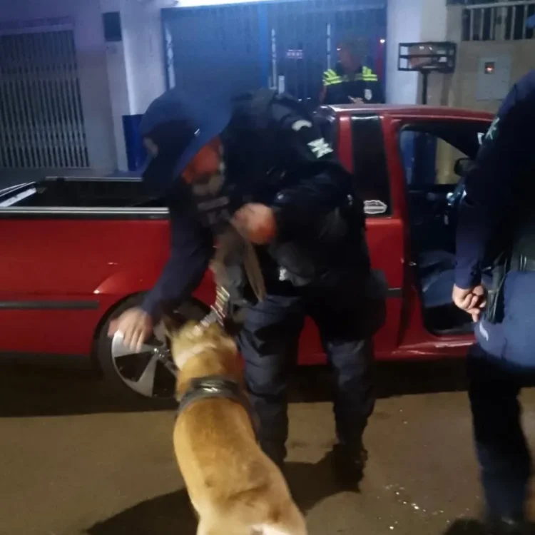 Megaoperação apreende 21 veículos na região Sul durante a madrugada deste domingo