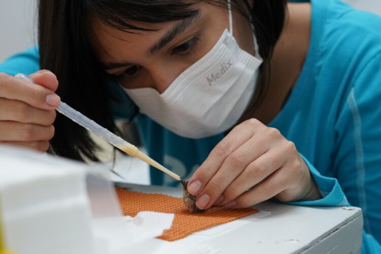 Parque das Aves registra nascimento inédito no mundo