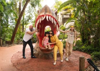 Para aproveitar o fim das férias, Complexo Dreams lança campanha especial