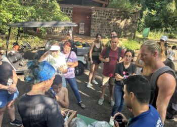 Pesquisa identifica leveduras com potencial para indústria do etanol e da cerveja