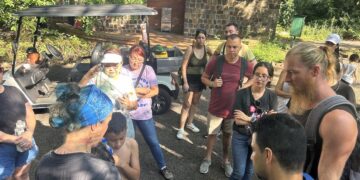 Pesquisa identifica leveduras com potencial para indústria do etanol e da cerveja