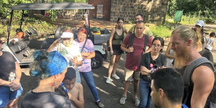 Pesquisa identifica leveduras com potencial para indústria do etanol e da cerveja