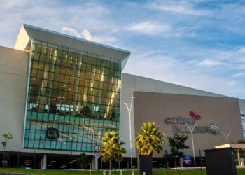 Dia do Cão será celebrado no Catuaí Palladium com direito a desfile de animais para adoção