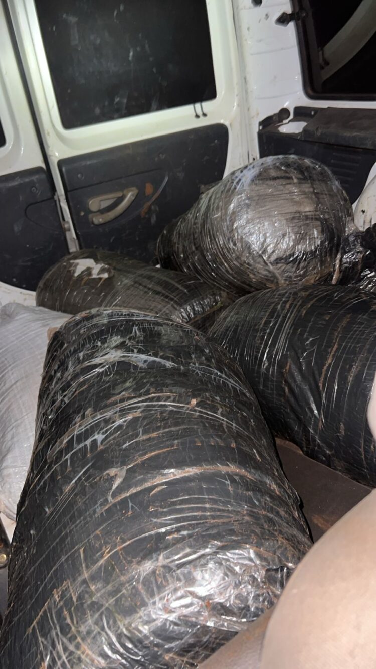 Homem é preso com 109 kg de capulho, uma variação da maconha, próximo ao Rio Paraná