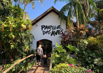 Férias em Foz do Iguaçu: atrativos da cidade batem recorde de turistas em julho