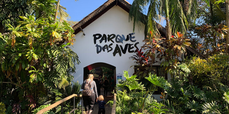 Férias em Foz do Iguaçu: atrativos da cidade batem recorde de turistas em julho