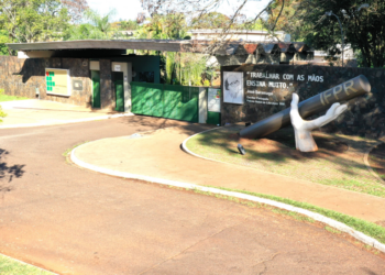 Instituto Federal do Paraná abre processo seletivo para 2026