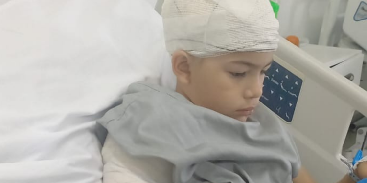 Criança de 8 anos sofre vários ferimentos após ser atacada por cão no Jardim Atlantis