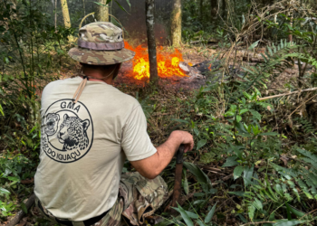 PF e ICMBio realizam operação contra crimes ambientais no Parque Nacional do Iguaçu