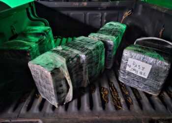 Fiscalização apreende quase 50 kg de capulho e maconha às margens do Rio Paraná