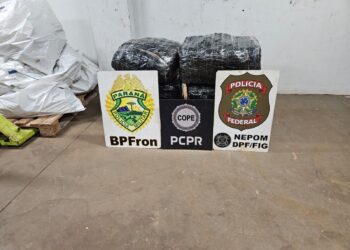 PF, PC E PM apreendem fardos de maconha no Rio Paraná