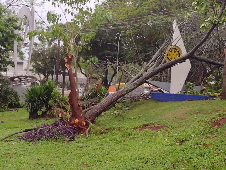 Temporal provoca quedas de árvores e mobiliza equipes de emergência em Foz do Iguaçu
