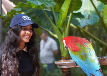 Parque das Aves anuncia novos horários de funcionamento a partir de outubro