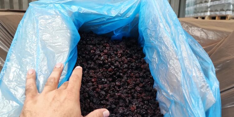 Carga de 25 mil quilos de uvas-passas é retida no Porto Seco por risco à saúde