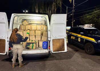 PRF apreende “furgão delivery de maconha” com mais de uma tonelada da droga