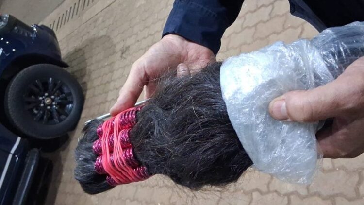 Em Cascavel, a PRF apreende 50 quilos de cabelo humano do Paraguai