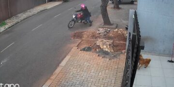 operacao-da-policia-militar-contra-assaltantes-prende-11-pessoas-em-foz-do-iguacu/