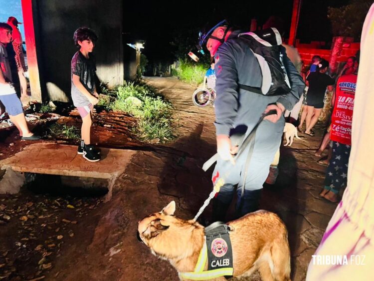 Criança de dois anos é resgatada com vida após horas desaparecida em mata na Vila Carimã