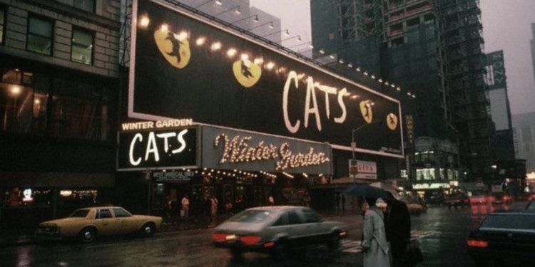 CATS… entre poesia, dança e memórias!