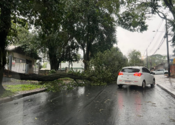 Temporal com ventos de 54 km/h provoca danos à rede elétrica e interrupções no fornecimento de luz