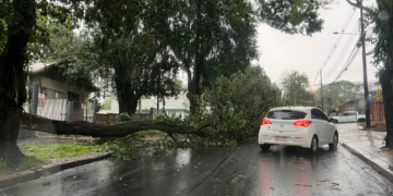 Temporal com ventos de 54 km/h provoca danos à rede elétrica e interrupções no fornecimento de luz