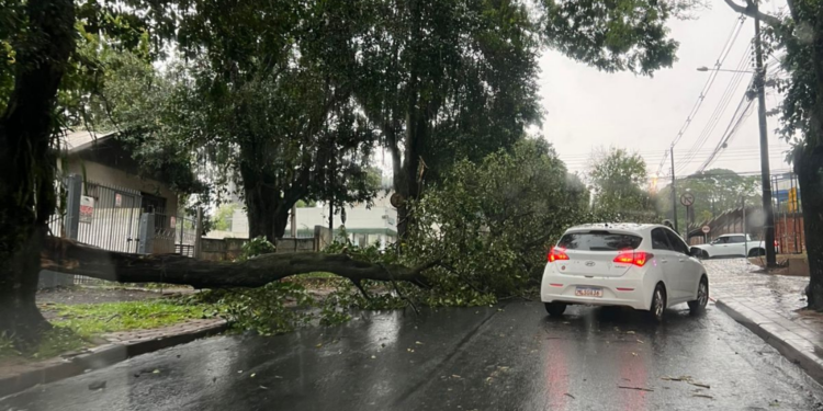 Temporal com ventos de 54 km/h provoca danos à rede elétrica e interrupções no fornecimento de luz