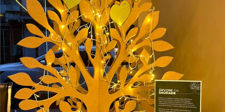 SAFF realiza ação especial para celebrar a memória no Dia de Finados