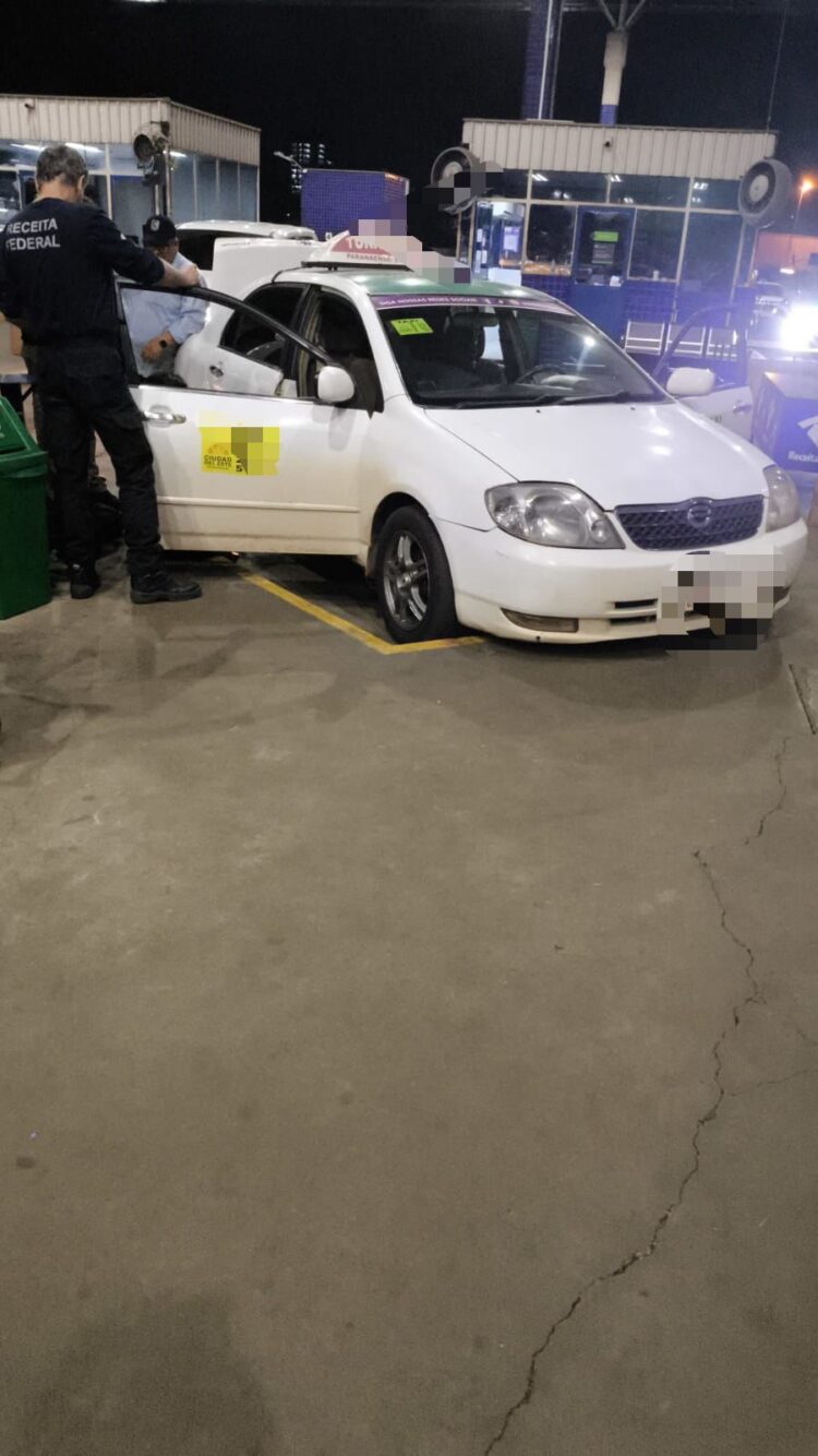 Receita Federal apreende sucuri, píton, jacarés e lagartixas em táxi na fronteira