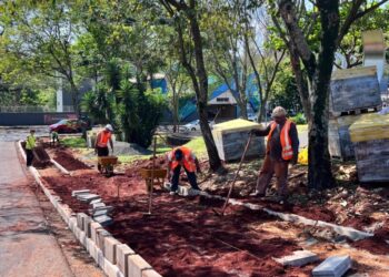Obras da ciclovia na JK exigem remoção de árvores e interdição temporária do trânsito