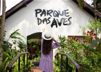 Parque das Aves encerra setembro com resultados positivos e inicia outubro com novidades