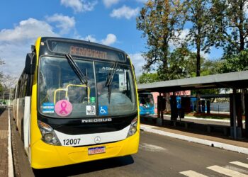 Ônibus da VISAC ganham adesivos rosa e reforçam a luta contra o câncer de mama