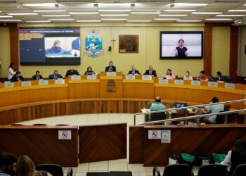 Maioria na Câmara derruba vetos do Executivo e muda regras tributárias