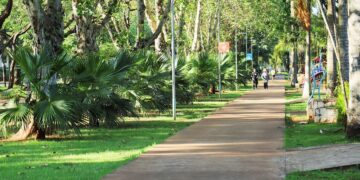 Foztrans implanta nova faixa elevada para pedestres na Av. Paraná nesta terça (14)