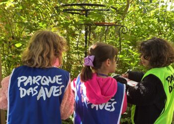 Parque das Aves abre inscrições para a Colônia de Férias de janeiro