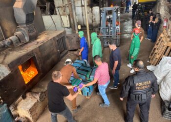 PF incinera mais de 11 toneladas de drogas apreendidas em operações na fronteira