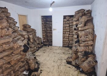 Carga com 8 toneladas de carvão e 200 mil maços de cigarros é apreendida em Foz