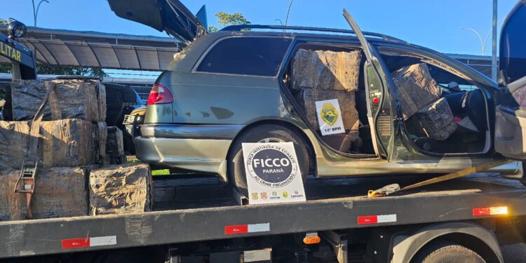 Polícia encontra depósito de drogas e retira mais de 1,6 tonelada de maconha das ruas