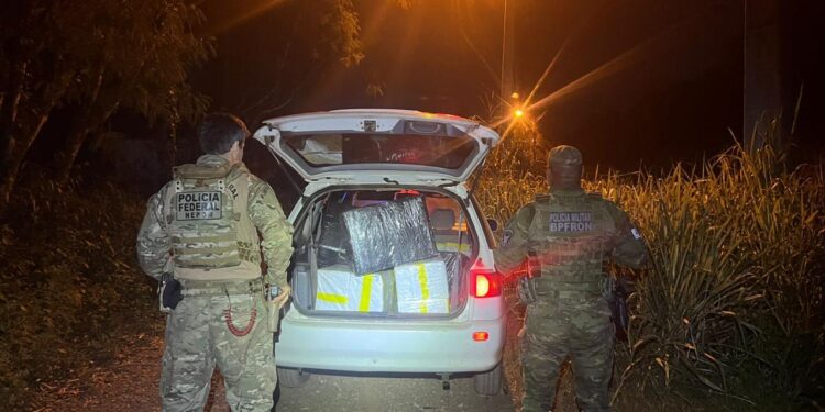 Operações apreenderam drogas, cigarros eletrônicos a ave silvestre