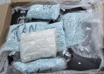 Receita Federal apreende quase 20 mil comprimidos de ecstasy e cocaína em transportadora de Cascavel