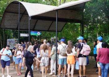 Mais de 5,7 mil moradores visitam Parque das Aves durante ação gratuita de aniversário