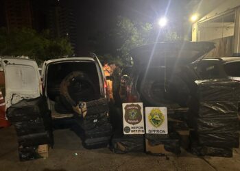 Volume de maconha apreendida cresce 45% neste ano em comparação a 2024