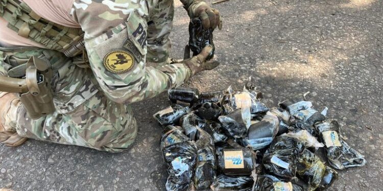 PRF prende casal com 14 quilos de “maconha gourmet” escondidos em tanque de combustível