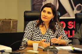 Delegada Aline Manzatto, disse que identificou um perfil comum entre as vítimas fatais