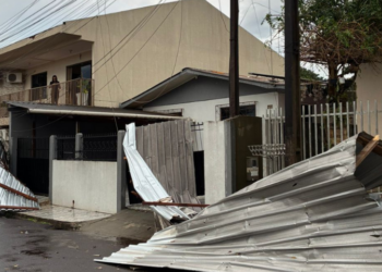 Quedas de árvores, placas e interrupção no fornecimento de energia elétrica em diversos bairros. - Foto: Defesa Civil