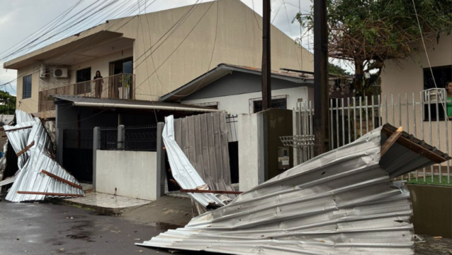 Quedas de árvores, placas e interrupção no fornecimento de energia elétrica em diversos bairros. - Foto: Defesa Civil