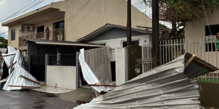 Quedas de árvores, placas e interrupção no fornecimento de energia elétrica em diversos bairros. - Foto: Defesa Civil