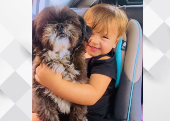 Criança de 4 anos chora pela falta de cachorrinha, levada por mulher no Portal da Foz