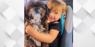 Criança de 4 anos chora pela falta de cachorrinha, levada por mulher no Portal da Foz