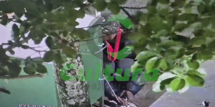 Videomonitoramento impede arrombamento na Avenida Brasil em Foz do Iguaçu