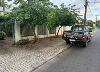 PF mira caça ilegal dentro do Parque Nacional do Iguaçu e apreende armas e carne de peixe